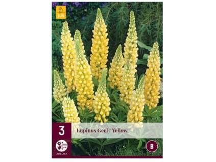 Snímek obrazovky 2024 01 31 095544