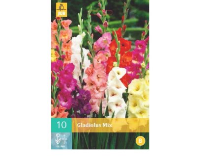 Snímek obrazovky 2024 01 31 095747