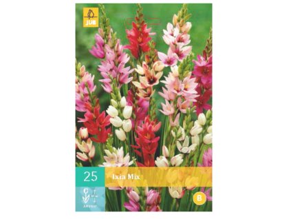 Snímek obrazovky 2024 02 02 085351