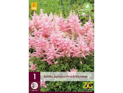 8c6ab4dd 12ad 4881 b455 b975329dd742