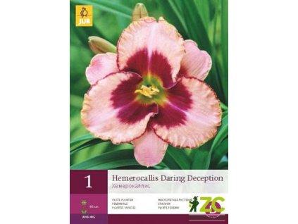 cb238058 c3d4 4786 a348 c81ab86201d8