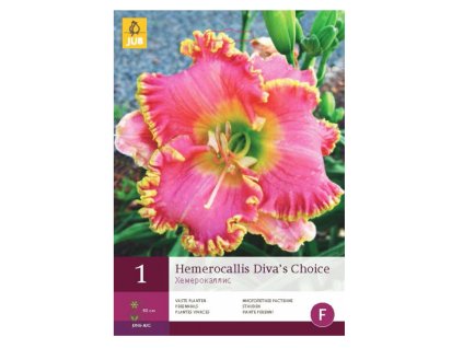 Snímek obrazovky 2024 02 04 230904