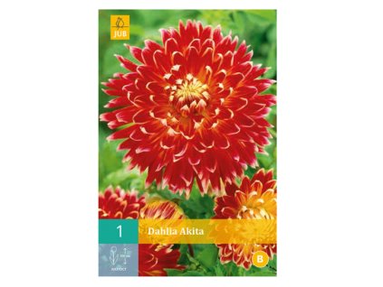 Snímek obrazovky 2024 01 31 104323