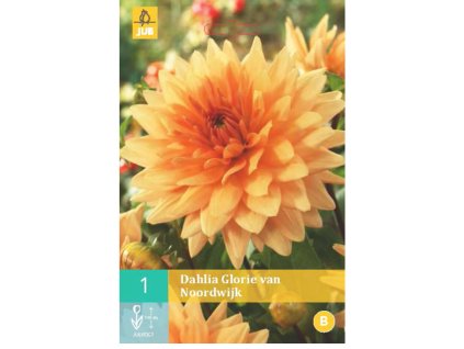 Snímek obrazovky 2024 01 31 132709