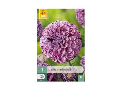 Snímek obrazovky 2026 02 13 133717