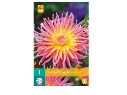 Snímek obrazovky 2024 01 31 133558