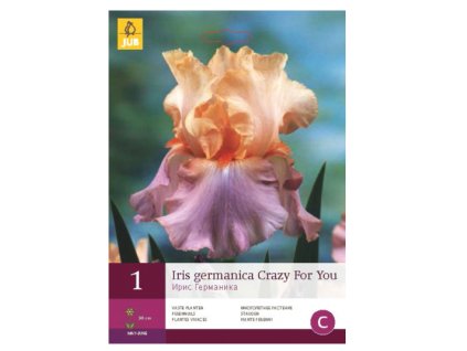 Snímek obrazovky 2024 02 01 122602