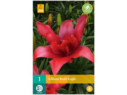 Snímek obrazovky 2024 01 31 093153