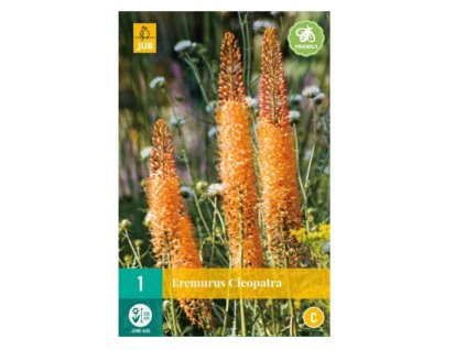 Snímek obrazovky 2024 02 04 220728