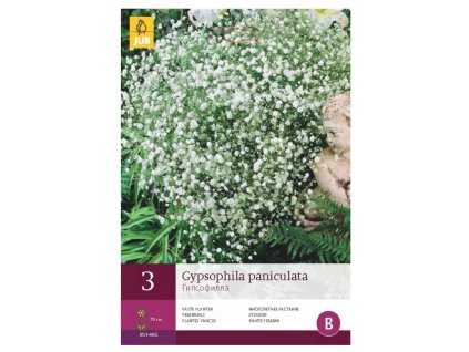 Snímek obrazovky 2024 02 04 221253