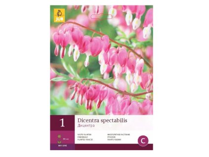 Snímek obrazovky 2024 02 04 221438