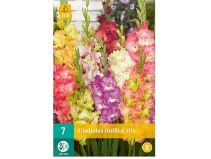 Snímek obrazovky 2024 02 22 102002