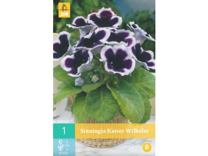 Snímek obrazovky 2025 02 25 101700