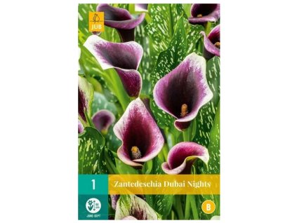 Snímek obrazovky 2024 02 22 102828