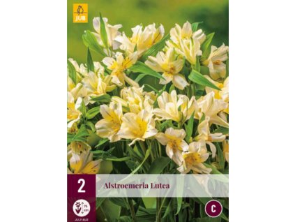 Snímek obrazovky 2025 02 27 091150