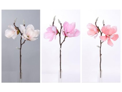 magnolie