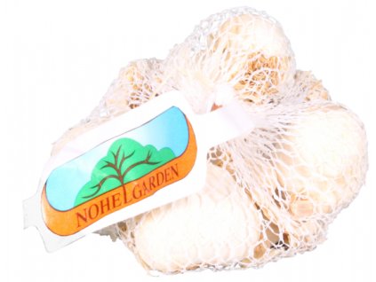 Snímek obrazovky 2024 02 01 115659