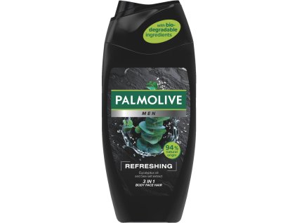Palmolive sprchový gel a šampon Men Refreshing 3v1, 250 ml