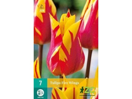 96c2bee9 dddd 471e a98f 238cc4e06f68