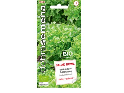 Snímek obrazovky 2024 05 24 115306