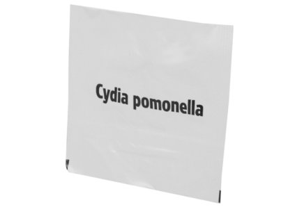 Snímek obrazovky 2024 01 15 090207