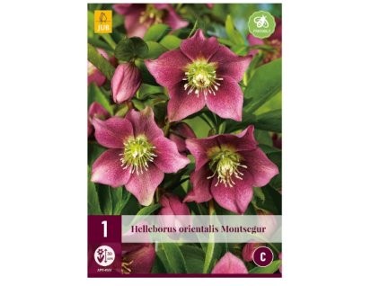 Snímek obrazovky 2024 02 02 084219