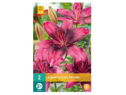 Snímek obrazovky 2024 02 04 232235