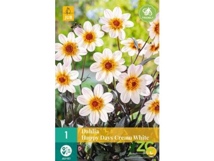 3a60c9c6 e17d 4492 a4cd 45ec98dcbdbc