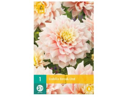 Snímek obrazovky 2024 01 31 100538