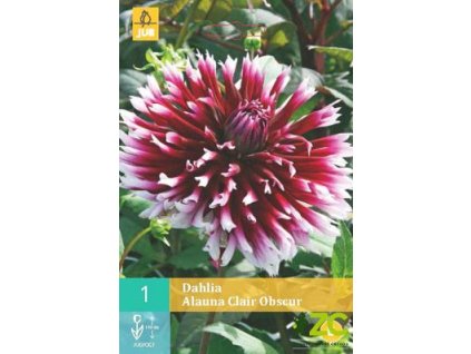 12c00667 8b79 46d6 b005 a88a339158a3