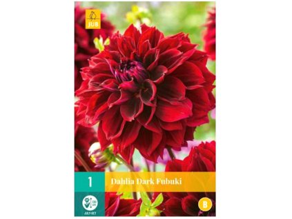 Snímek obrazovky 2024 01 31 122901