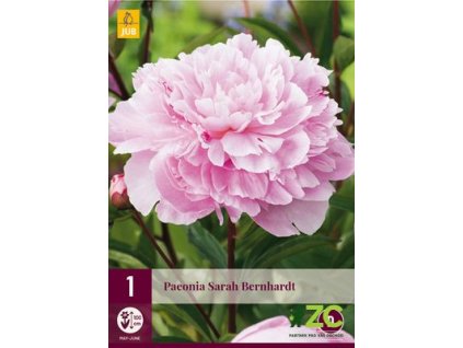 fea8b236 bb95 43b4 a78e a40a6d153a89