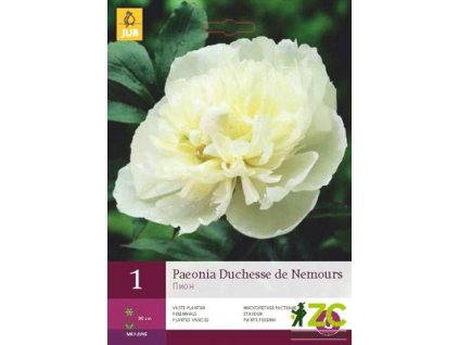 2eb86e1d 5ede 4adf b58c 3d84d5ad0a77