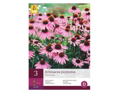 Snímek obrazovky 2024 02 04 223146