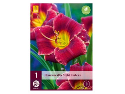 Snímek obrazovky 2024 02 04 231128