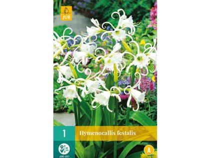 Snímek obrazovky 2024 02 01 124815