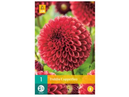 Snímek obrazovky 2024 01 31 101808