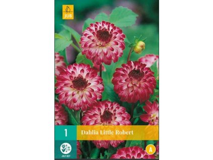 Snímek obrazovky 2024 01 31 102045