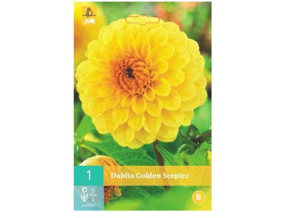 Snímek obrazovky 2024 01 31 103620