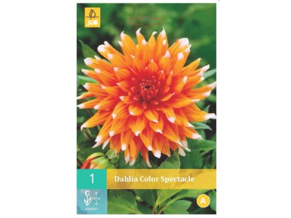 Snímek obrazovky 2024 01 31 131841