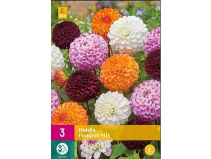 Snímek obrazovky 2024 02 01 103954