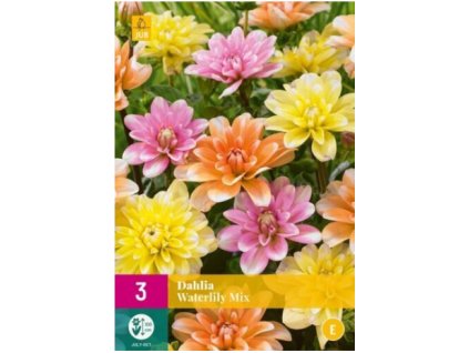 Snímek obrazovky 2024 02 01 104340