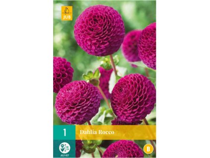 Snímek obrazovky 2024 02 01 104753