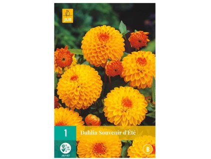 Snímek obrazovky 2024 02 01 110217