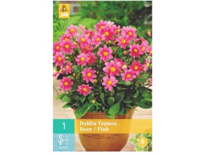 Snímek obrazovky 2024 02 01 114052