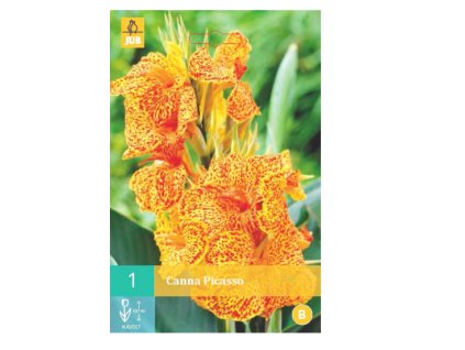 Snímek obrazovky 2024 02 01 120635