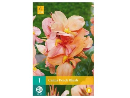 Snímek obrazovky 2024 02 01 121125