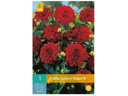 Snímek obrazovky 2024 02 01 121347