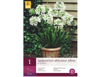 Snímek obrazovky 2024 02 01 123731