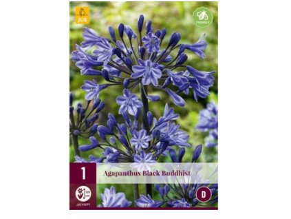 Snímek obrazovky 2024 02 01 124239